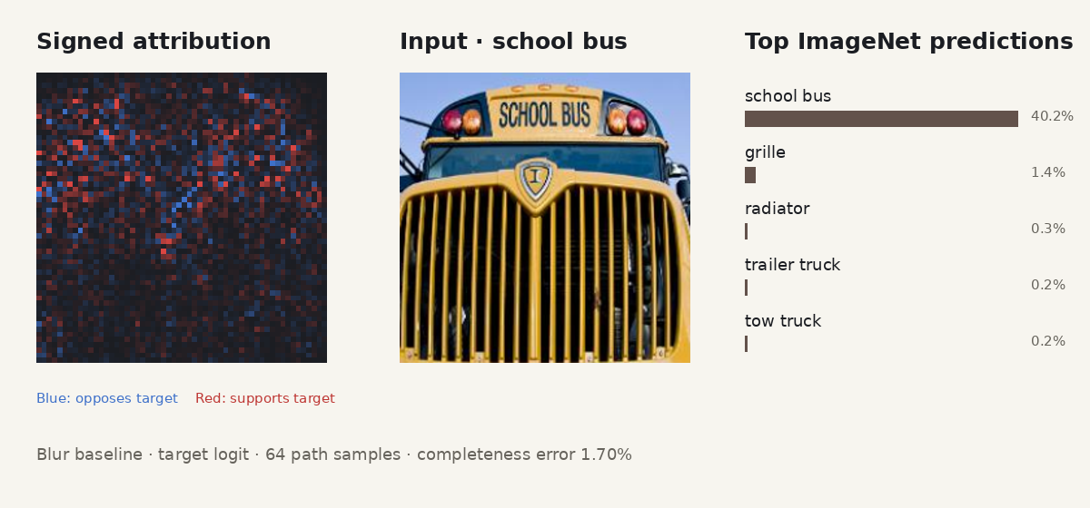 Static Integrated Gradients view for a school bus, with a signed pixel attribution map, original image, and top-five ImageNet predictions.